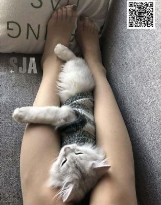 伦理国产_国产剧在线手机播放